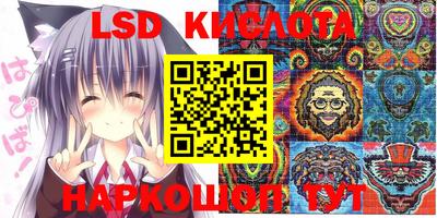ALPHA PVP Заволжье